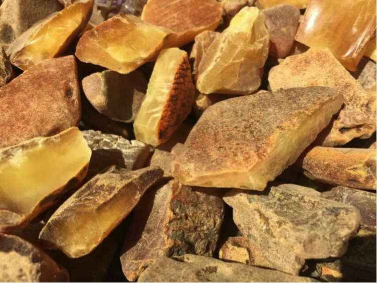 Raw amber material